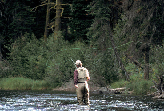 Why the Henry's Fork Is Legendary (And Where to Start)