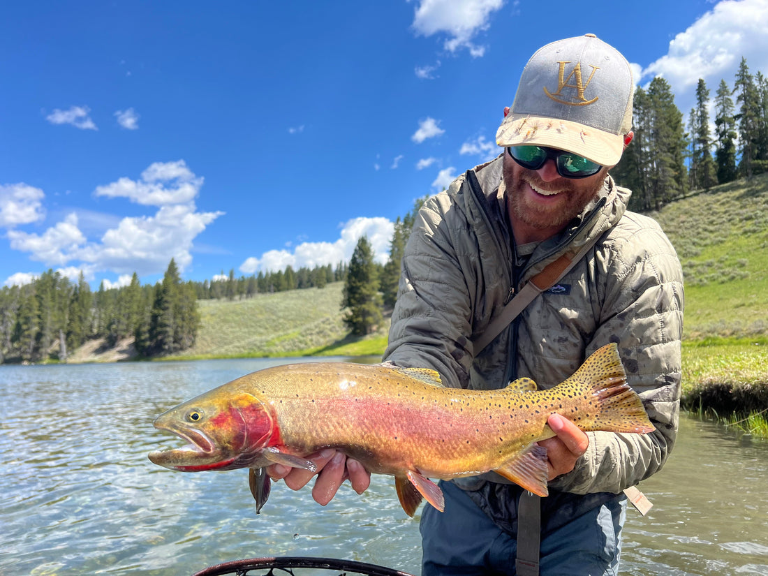 Fishing Report - July 25, 2025