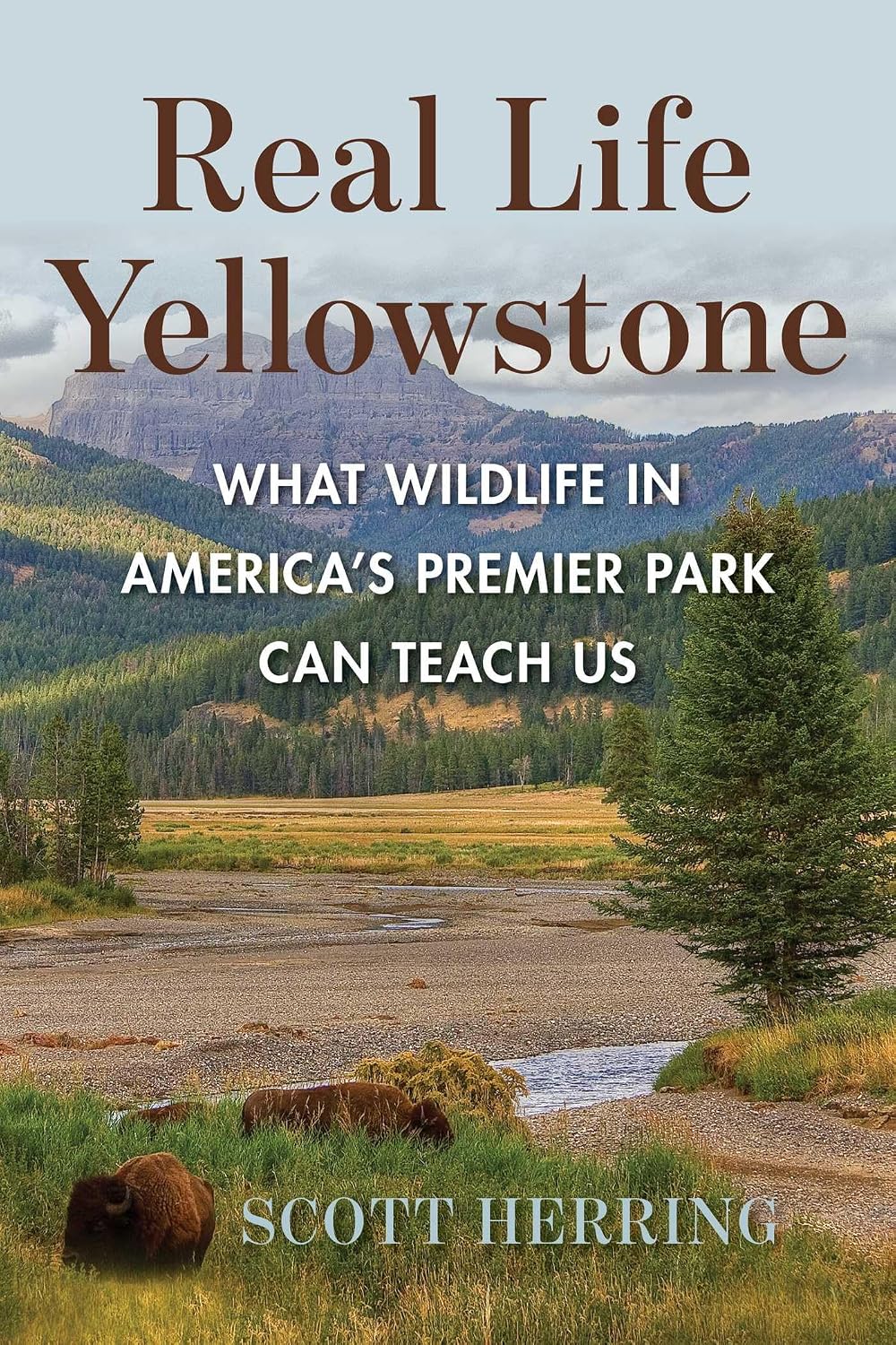 REAL LIFE YELLOWSTONE