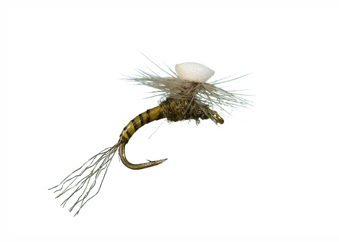brooks fish and hooks Brook's Sprout