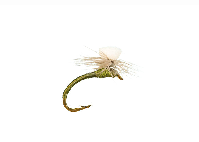 Brooks Sprout Midge