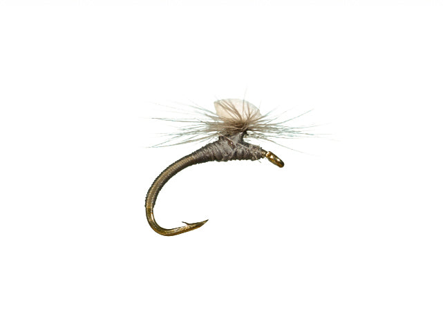 Brooks Sprout Midge