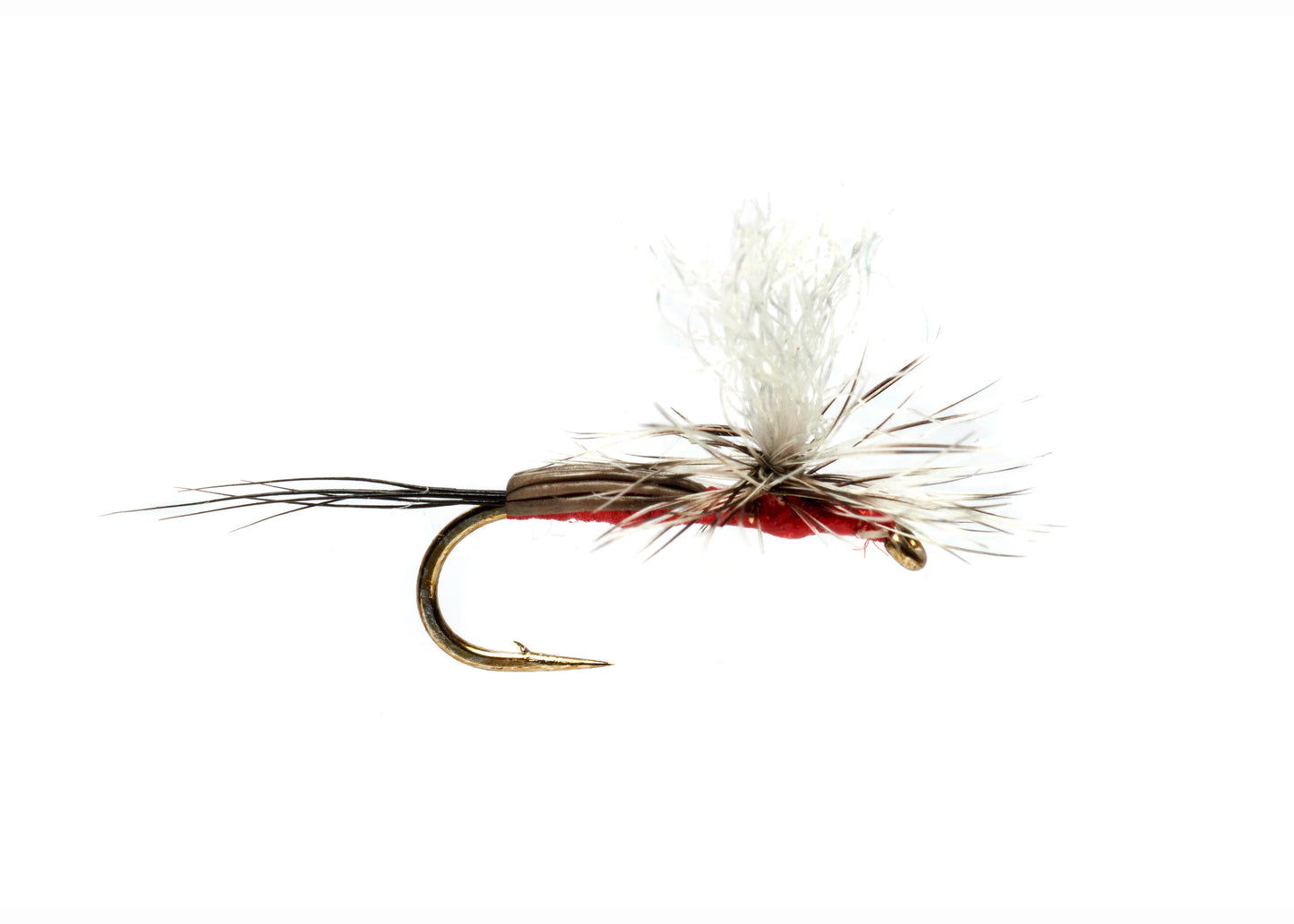 Burkus Humpy