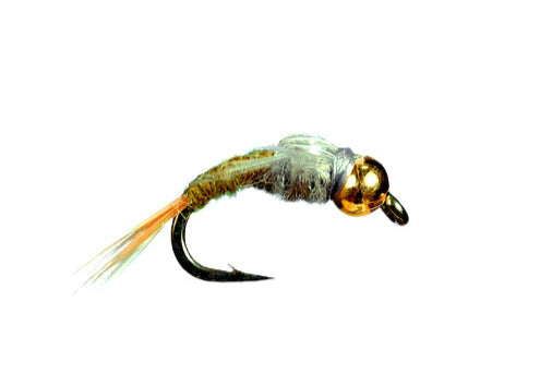BH CDC Case Emerger