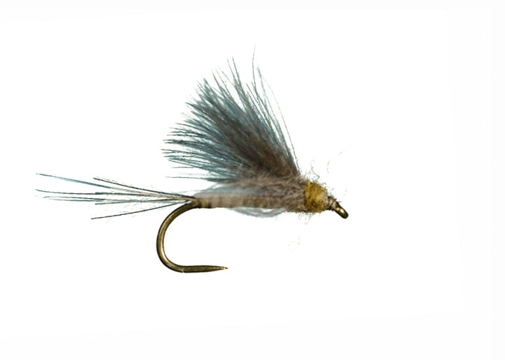 Harrop CDC Biot Dun