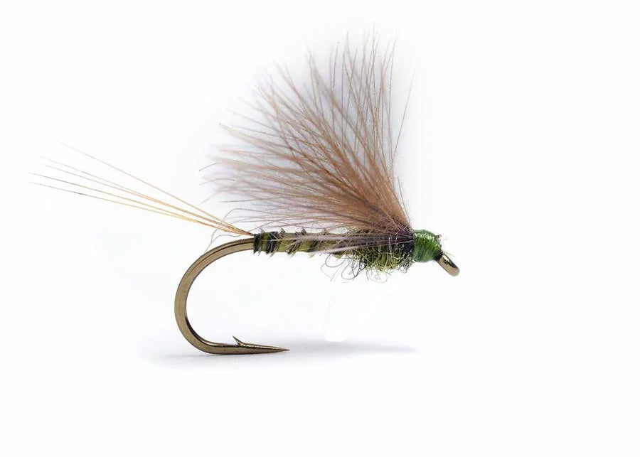 Harrop CDC Biot Dun