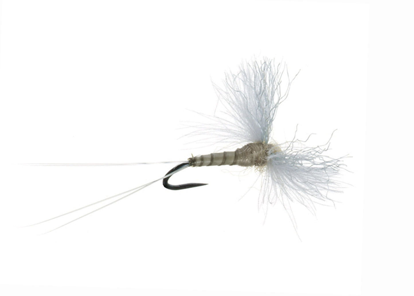 CDC Biot Spinner