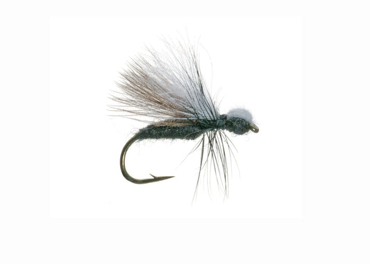 CDC Ant, Shimazaki's