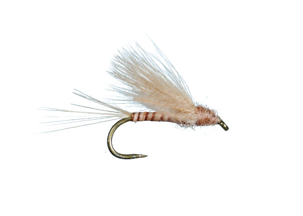 Harrop CDC Biot Dun
