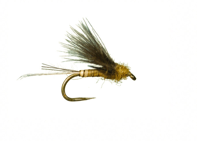 Harrop CDC Biot Dun