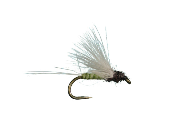 Harrop CDC Biot Dun
