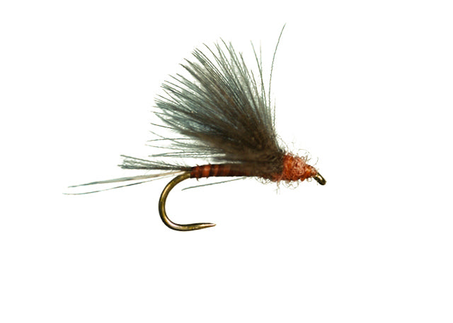 Harrop CDC Biot Dun