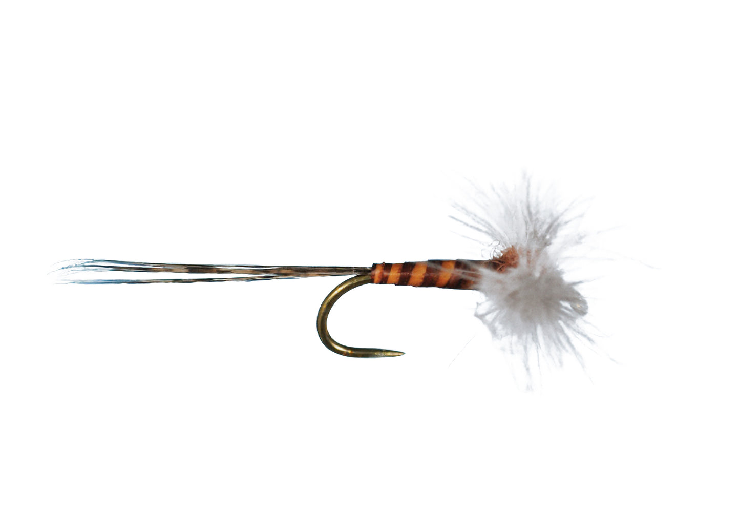 CDC Biot Spinner