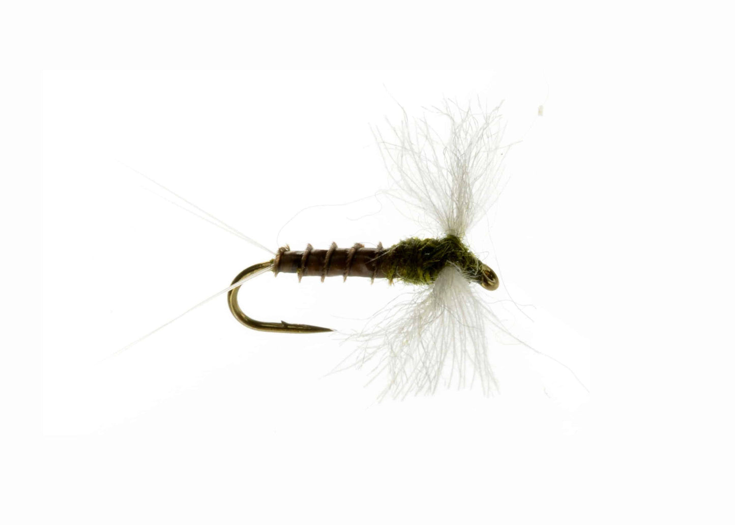 CDC Biot Spinner