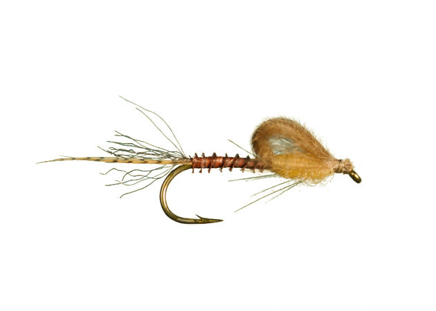 Harrop Captive Dun