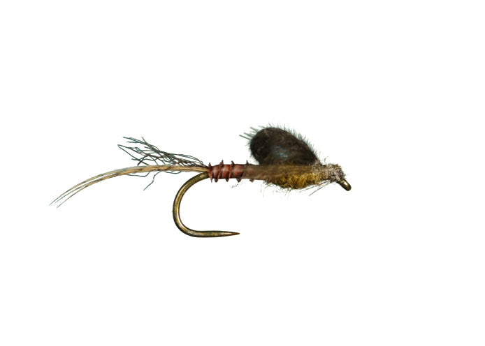Harrop Captive Dun