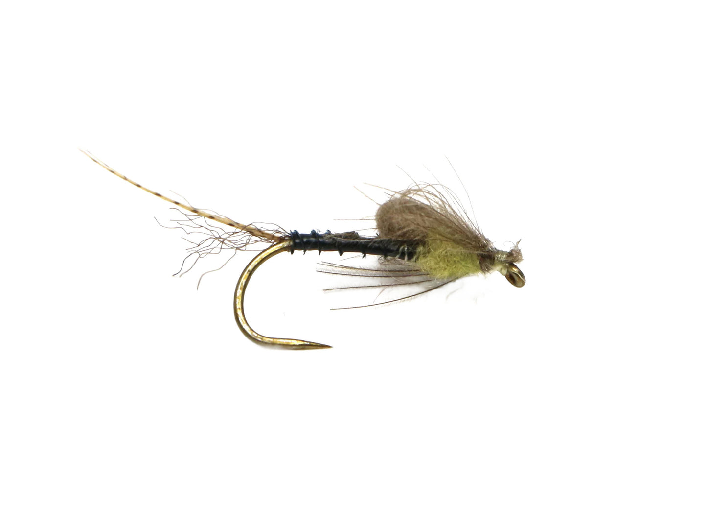 Harrop Captive Dun