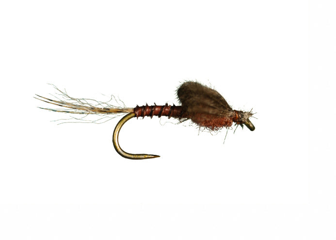Harrop Captive Dun