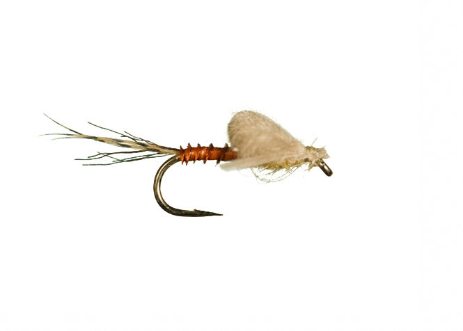 Harrop Captive Dun