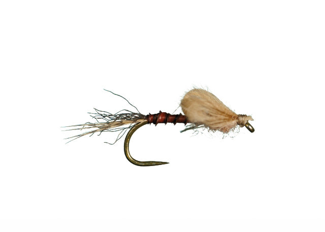 Harrop Captive Dun