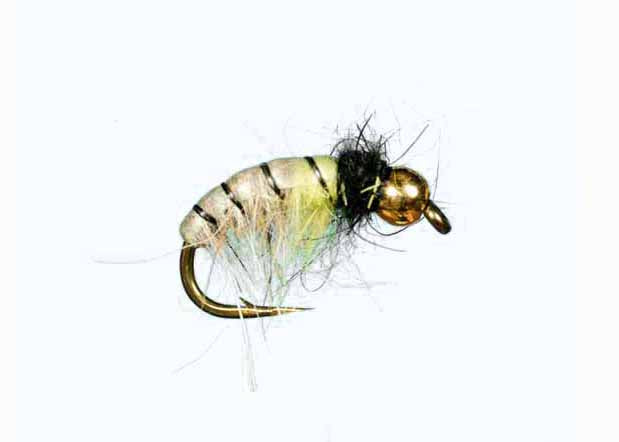 Czech Nymph