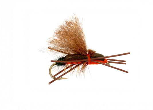 Elden's Pteranycis / Orange / 6