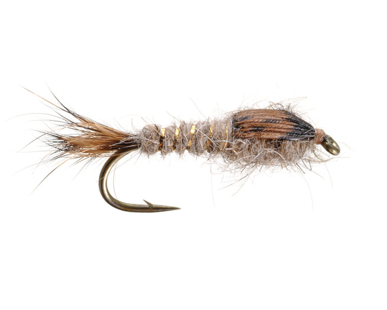 GOLD RIBBED HARE'S EAR