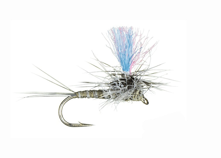 Guide Winna Spinna