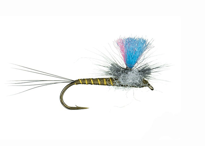 Guide Winna Spinna