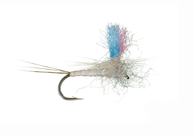 Guide Winna Spinna