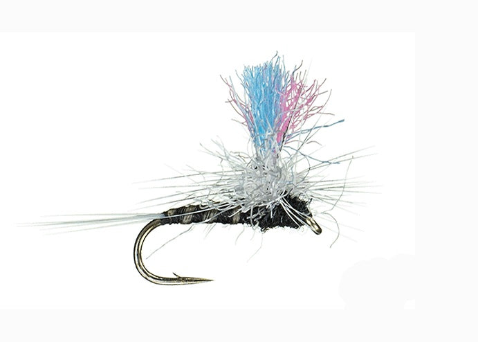 Guide Winna Spinna