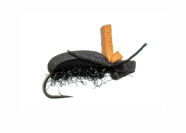 Jake's Gulp Beetle