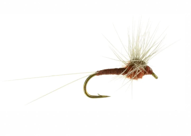 HACKLE STACKER QUIGLEY
