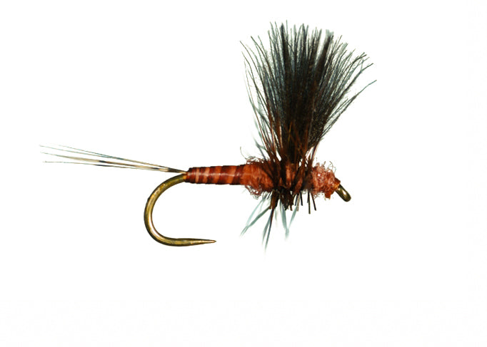 HarropCDC Thorax