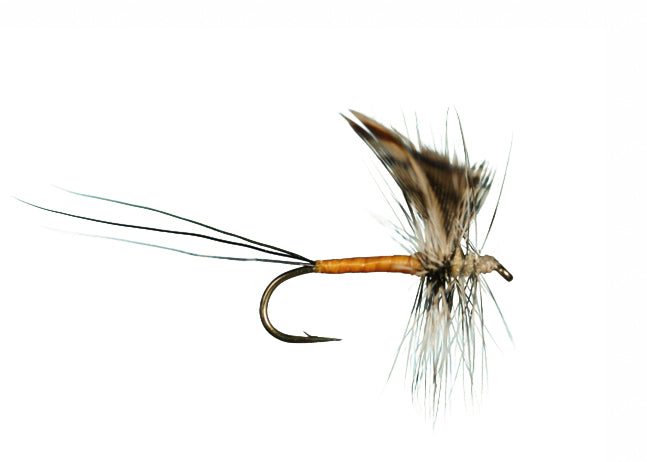 Harrop Hackled Spinner