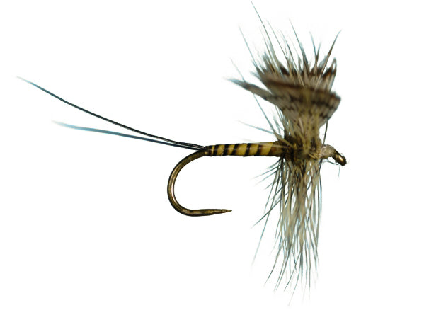 Harrop Hackled Spinner
