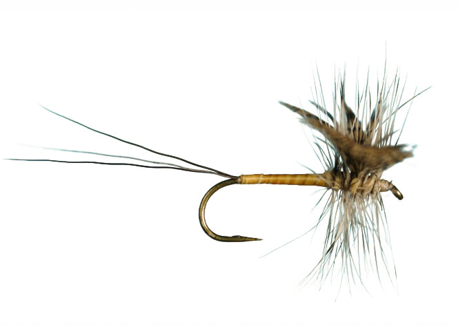 Harrop Hackled Spinner