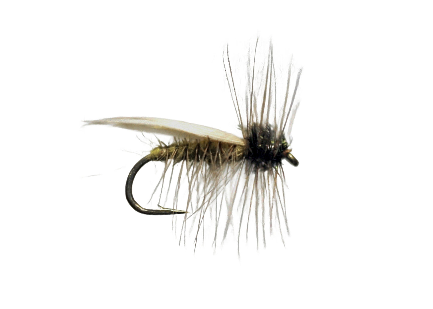 Hemingway Caddis