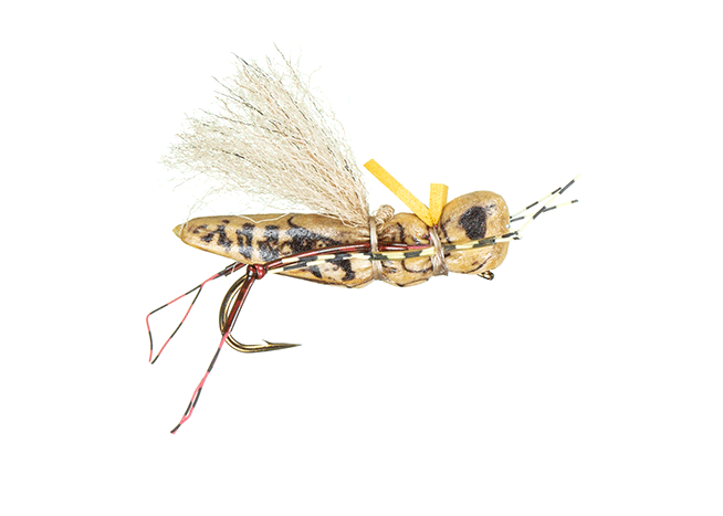 KK's Henneberry Hopper