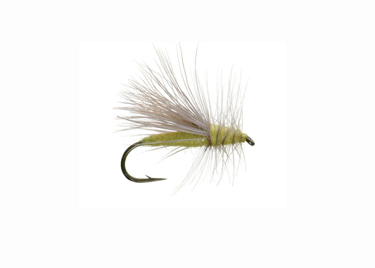 Lawson's Yellow Sally