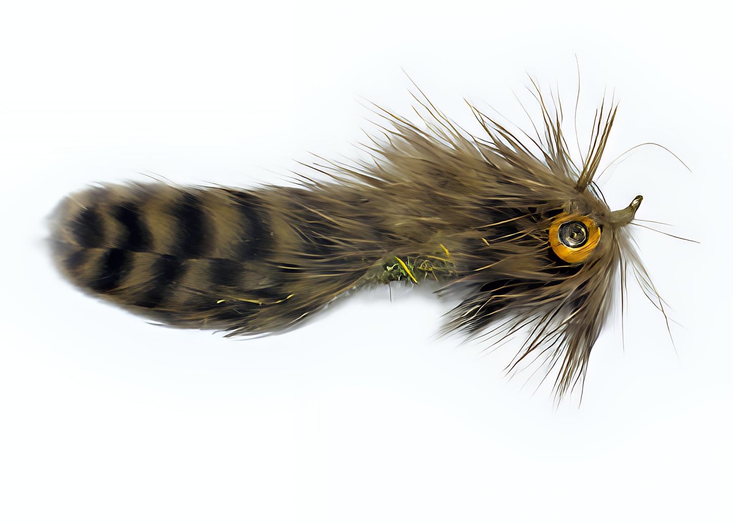 Inverted Hen Matuka