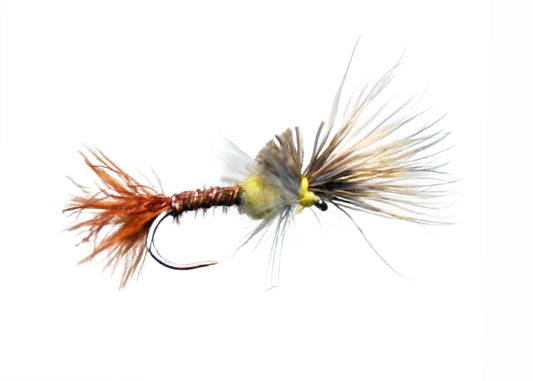 Lawson's PMD Cripple