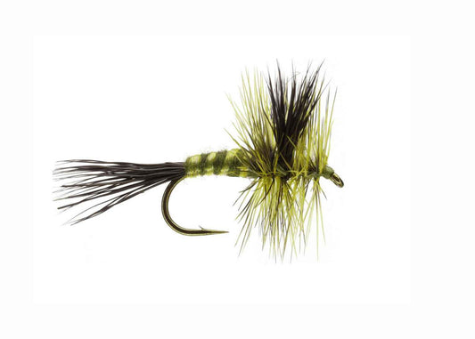 Lawson's Green Drake Wulff