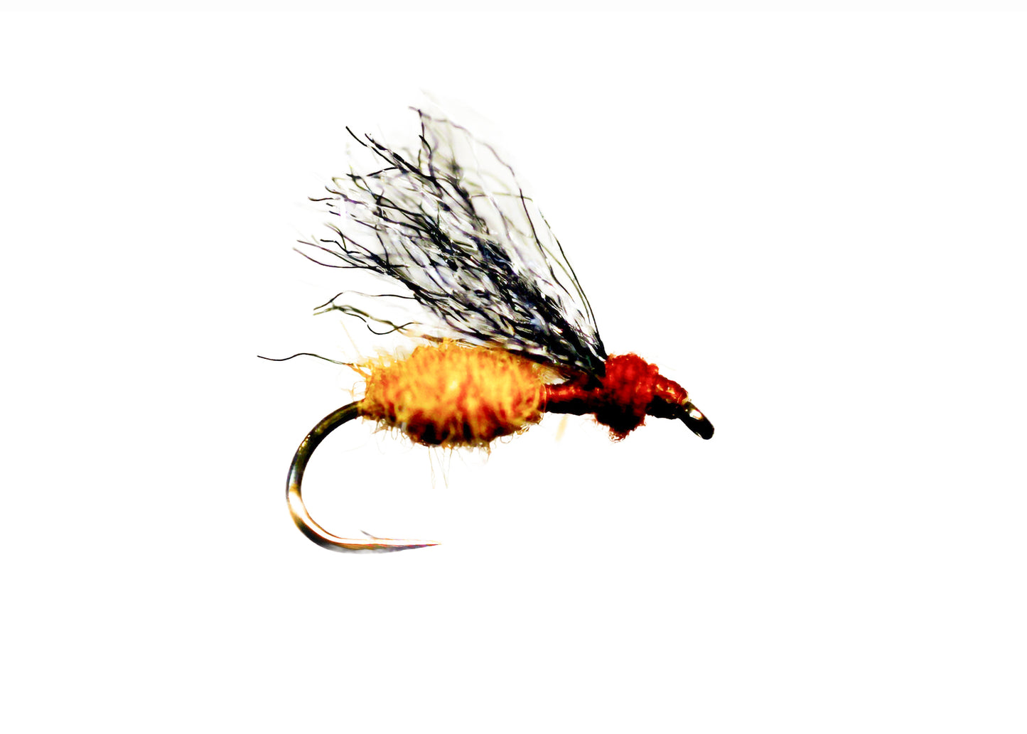 Lawson's Henry's Fork Ant