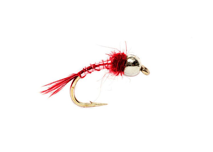 Lightning Bug, Tung