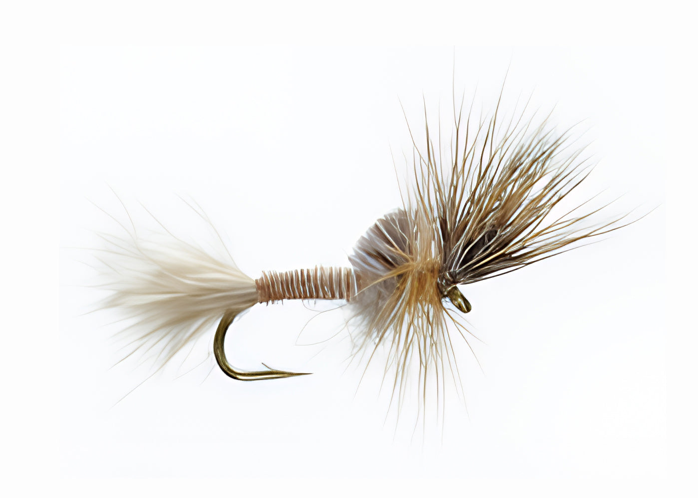 Mayfly Cripple
