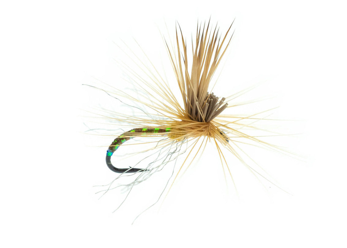 Missing Link Caddis