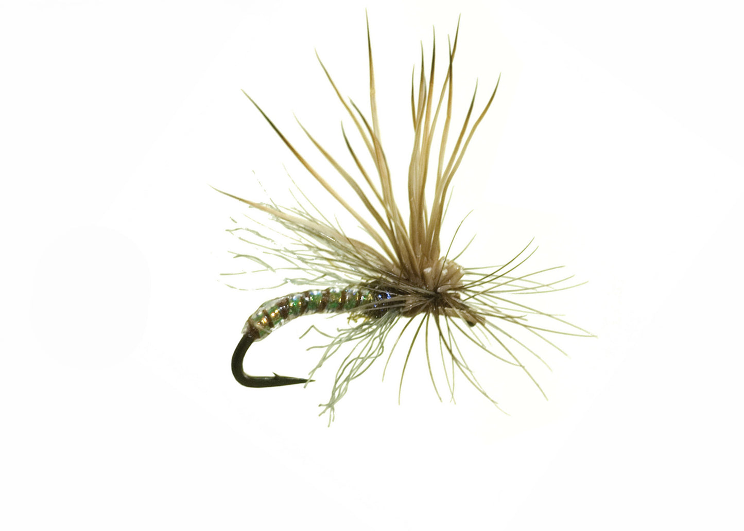 Missing Link Caddis