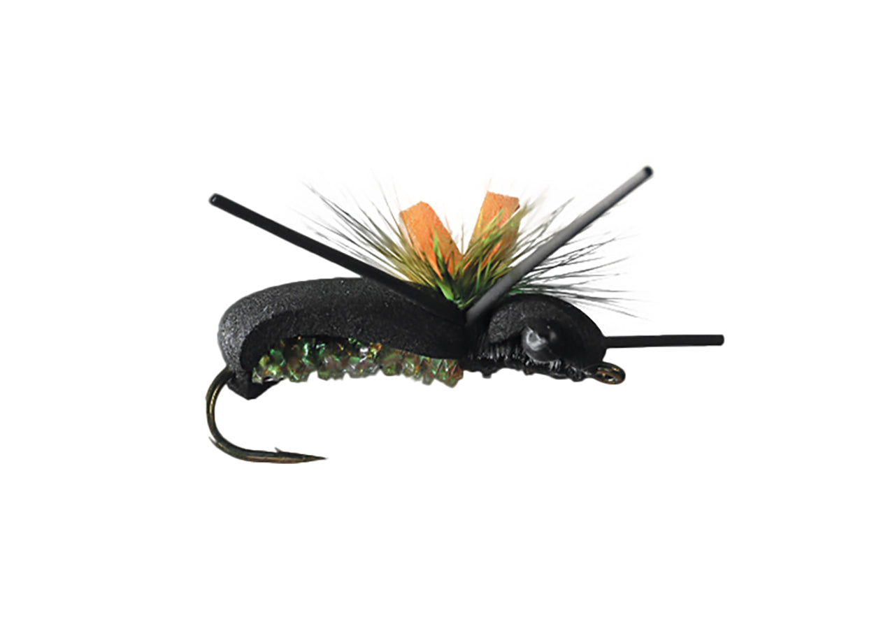 Monster Beetle