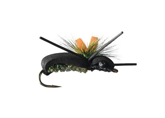 Monster Beetle